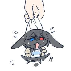 dexveed
